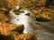 Autumn mountain river with blurred waves, fresh green mossy stones, colorful fall