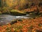 Autumn mountain river with blurred waves, fresh green mossy stones, colorful fall