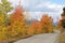 Autumn Mountain Road