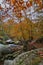 Autumn mountain stream landscape view. Blue Ridge Mountains in Fall.