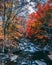 Autumn mountain stream landscape view. Blue Ridge Mountains in Fall.