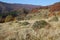 Autumn in the mountains (array Svidovets in Ukrainian Carpathian Mountains)