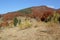 Autumn in the mountains (array Svidovets in Ukrainian Carpathian Mountains)