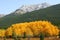 Autumn mountains and forests