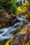 Autumn in Mt. Rainier National Park, Washington State