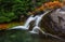 Autumn in Mt. Rainier National Park, Washington State