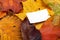 Autumn multicolor leafs with empty price card