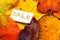 Autumn multicolor leafs and white price card with word SALE
