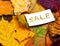 Autumn multicolor leaves and white price card with word SALE