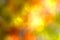 Autumn multicolored nature blurred defocused background