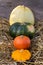 Autumn multicolored pumpkins stand in a row on straw. Autumn harvest.