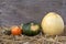 Autumn multicolored pumpkins stand in a row on straw. Autumn harvest. Copy space.