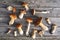 Autumn mushroom harvest-mushrooms on a gray wooden background