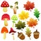 Autumn mushroom and leaf icon set