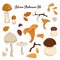 Autumn mushroom set