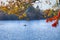 Autumn on Muskoka Lakes, Canada. Canoeist Paddling a Ca