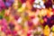 Autumn natural bokeh for background. Defocused abstract autumnal backdrop in yellow, red, orange and purple tones. Copy