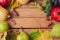 Autumn nature background with fall fruits, pumpkin and leaves