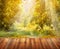 Autumn nature background with wooden terrace and fall tree