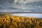 Autumn nature landscape aerial view. Scenic yellow trees on lake shore in october view from above. Fall scene