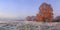 Autumn nature landscape with clear sky and colored tree. Cold meadow with hoarfrost on grass in november morning