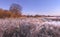 Autumn nature landscape with hoarfrost on grass in the november morning with clear blue sky