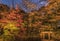 Autumn night illumination of the Yamakage wooden bridge lined with moss in the Rikugien Garden of Tokyo