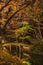 Autumn night illumination of the Yamakage wooden bridge lined with moss in the Rikugien Garden of Tokyo