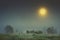 Autumn night landscape of cold foggy nature with large bright yellow moon in sky.