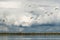 Autumn north scenery with lake, seagulls, cloudy sky and forest in the distance