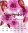 Autumn November calendar with pink daisy flowers Vector. Floral watercolor style decors