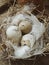 Autumn, november, flatlay, stilllife, country, eggs