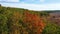 Autumn oak grove with bright multicolored leaves during leaf fall, panorama