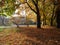 Autumn oaks and maples among the fallen yellow and red foliage on the blurred background of the city