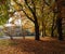 Autumn oaks and maples among the fallen yellow and red foliage on the blurred background of the city