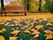 Autumn october morning bench leaves