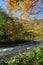 Autumn of Oirase Gorge in Aomori Pref.