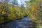 Autumn of Oirase Gorge in Aomori Pref.