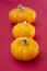 Autumn orange pumpkins onred board. Halloween, Thanksgiving orange little pumpkins isolated