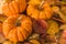 Autumn orange pumpkins, widely used for Halloween, with a background of dry and reddish leaves as well as a wooden box