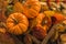 Autumn orange pumpkins, widely used for Halloween, with a background of dry and reddish leaves as well as a wooden box