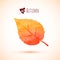 Autumn orange watercolor leaf icon