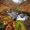 Autumn orange waterfall