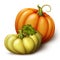 Autumn orange yellow green pumpkins, seasonal illustration isolated on white background