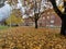 Autumn in Oslo, Norway. Sogn student village.