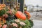 Autumn outdoor decorations at the festival. Orange pumpkin close up and maple leaves, yellow tiny flowers and hawthorn berries