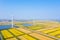 Autumn paddy fields and wind turbines