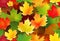 Autumn painting, Autumn maple leaves