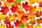 Autumn painting, Autumn maple leaves