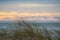 Autumn in Palanga Dunes with Baltic sea in background and close up of weeds